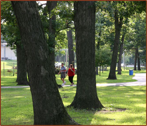 Walking paths are abundant at Wicker Memorial Park as are hundreds of shade trees. 